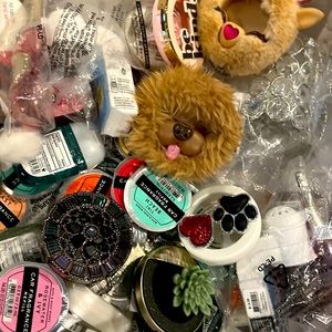 - Bath & Body Works car fragrances, & wall flowers